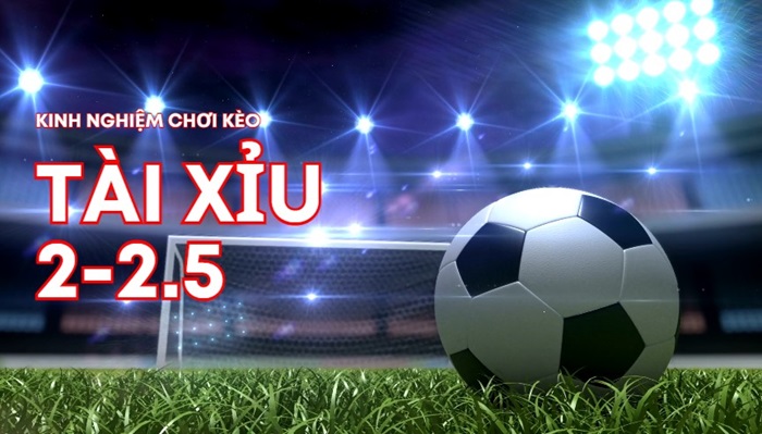 Kinh nghiệm chơi tài xỉu 2-2.5